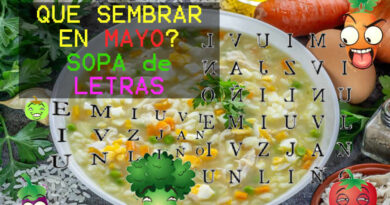 Sopa de letras Mayo