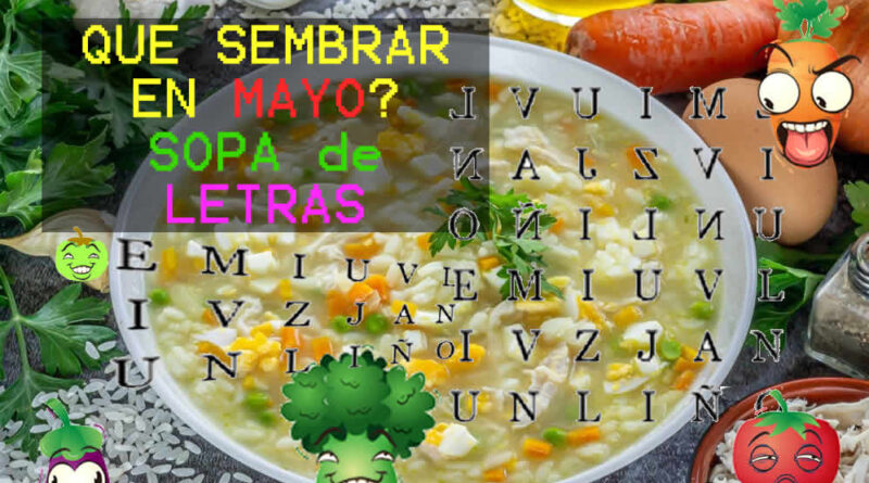 Sopa de letras Mayo